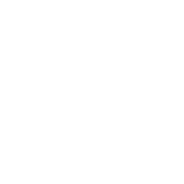 VigorX Pro 60 Day 100 Percent Money Back Guarantee Seal